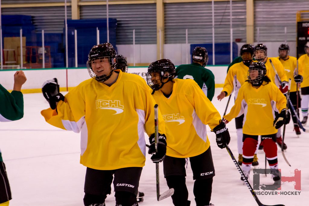 The Best 2018 Resolution: Discover Hockey