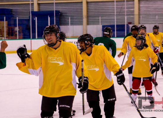 The Best 2018 Resolution: Discover Hockey