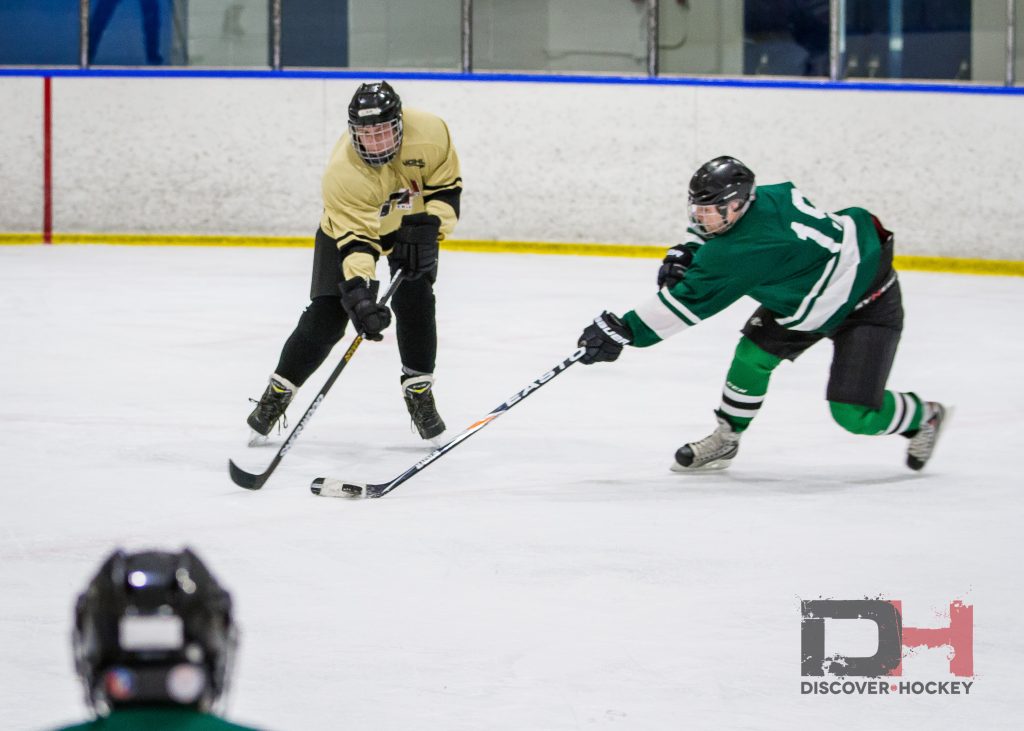 adultbeginnericehockeylearntoplayskatinglessonscalgary14