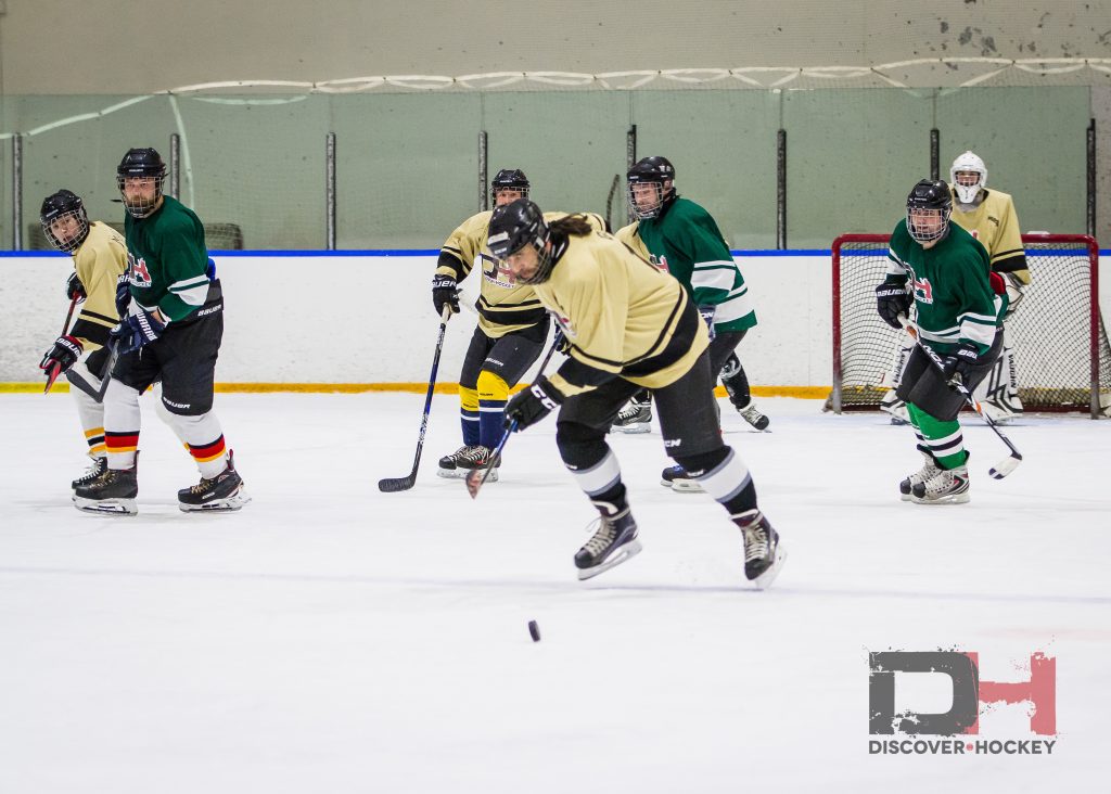 adultbeginnericehockeylearntoplayskatinglessonscalgary59