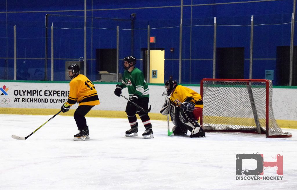 adultbeginnericehockeylearntoplayskatinglessonsrichmond