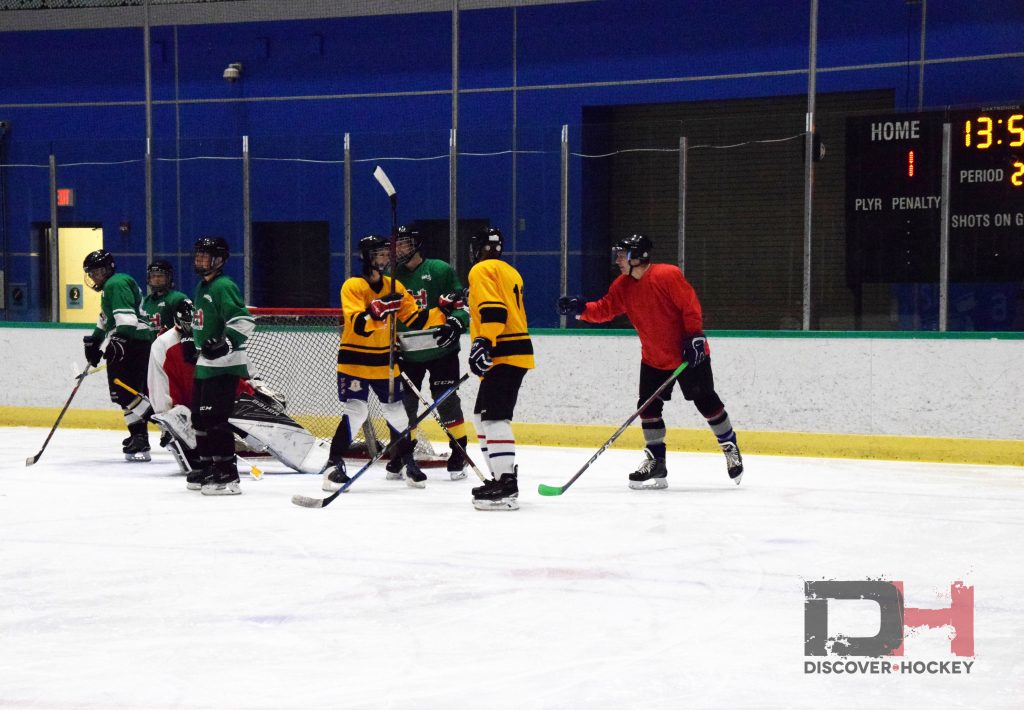 adultbeginnericehockeylearntoplayskatinglessonsrichmond