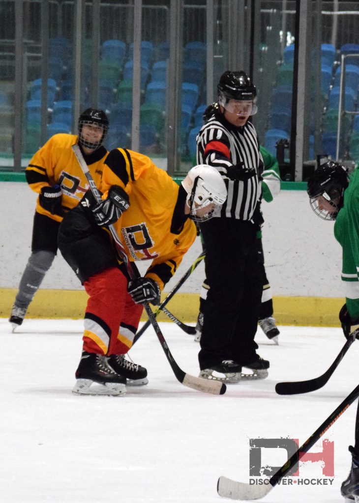 adultbeginnericehockeylearntoplayskatinglessonsrichmond