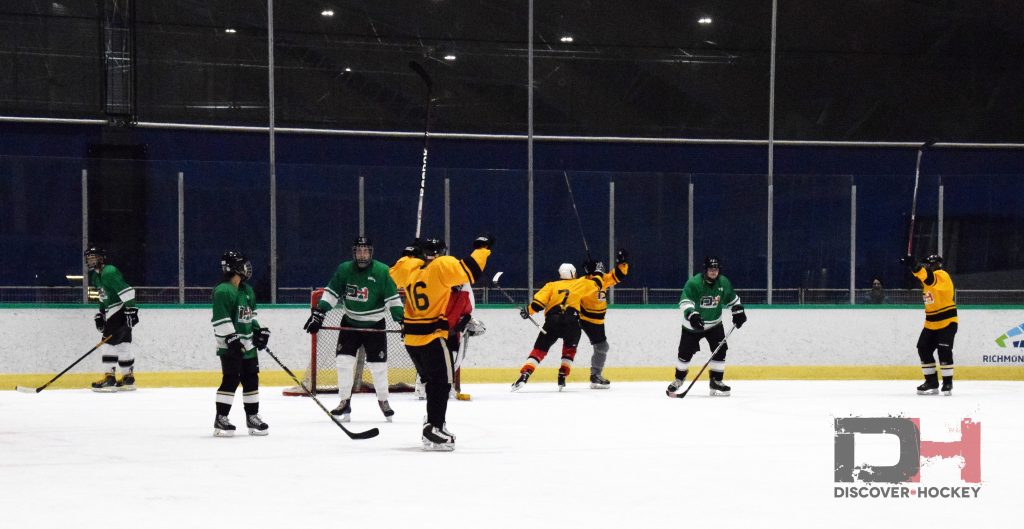 adultbeginnericehockeylearntoplayskatinglessonsrichmond