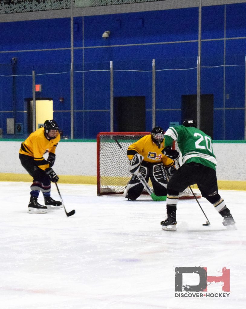 adultbeginnericehockeylearntoplayskatinglessonsrichmond