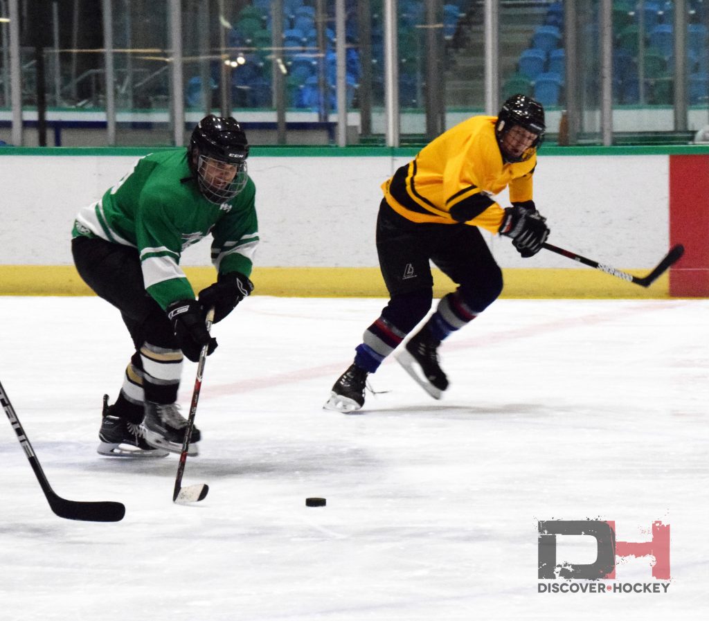 adultbeginnericehockeylearntoplayskatinglessonsrichmond